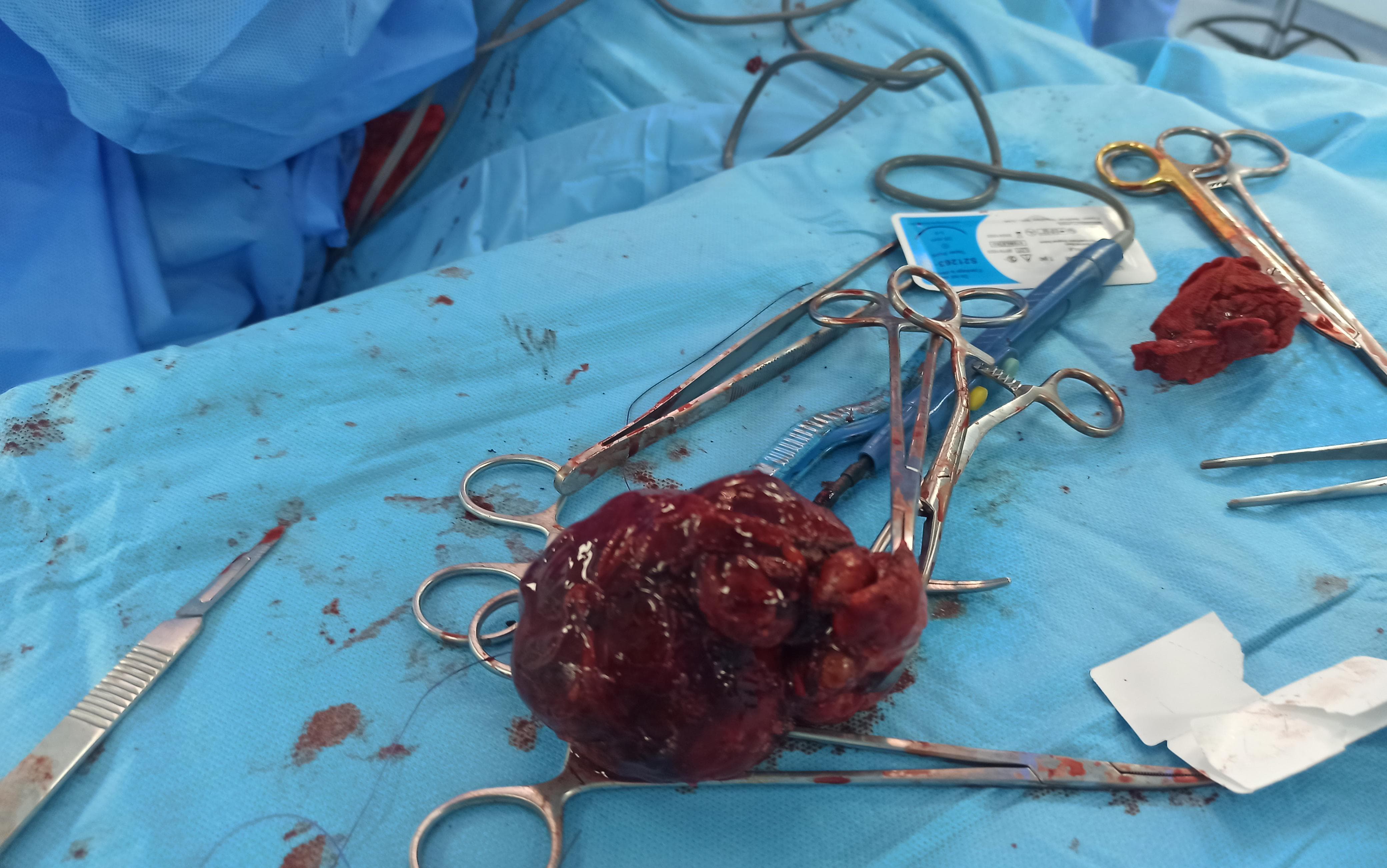 IMG 20240118 WA0043 - شأنكم Tv