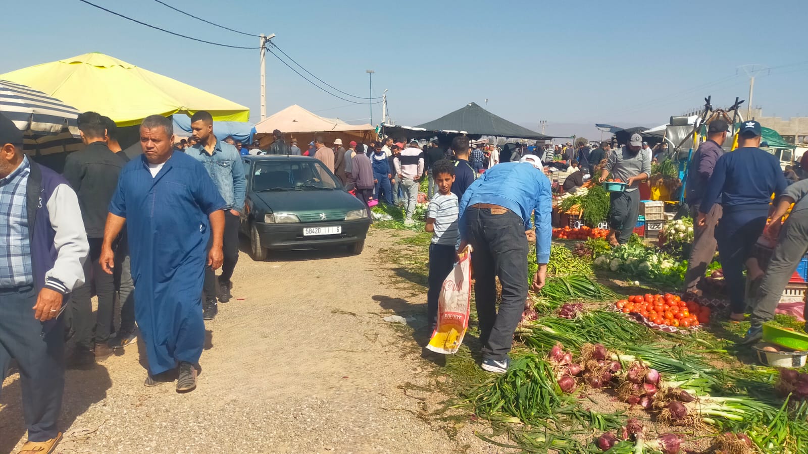 IMG 20240225 WA0150 - شأنكم Tv