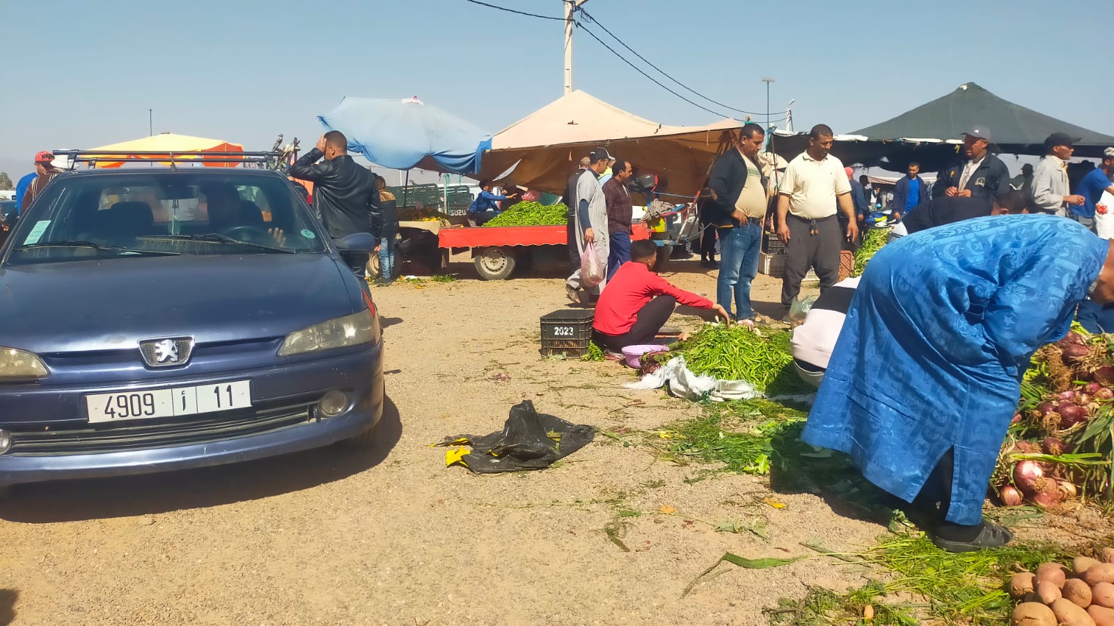 IMG 20240225 WA0151 - شأنكم Tv