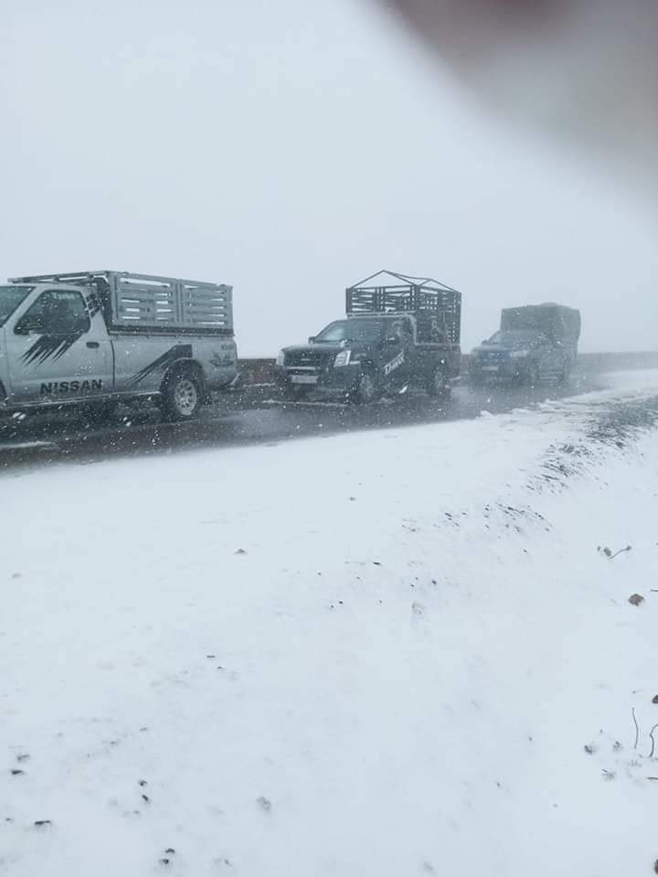 IMG 20240326 WA0471 - شأنكم Tv