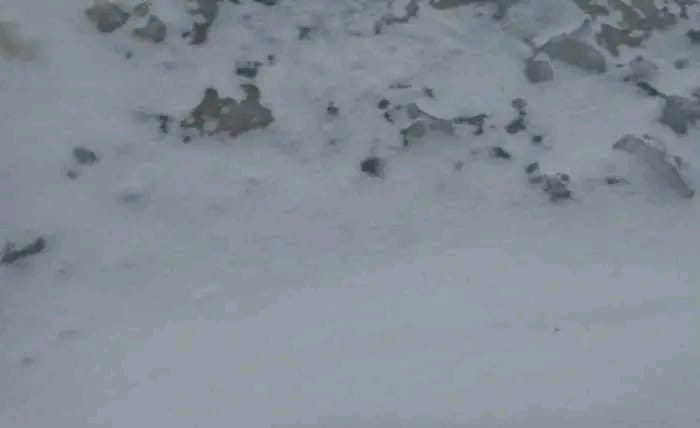 IMG 20240326 WA0473 - شأنكم Tv