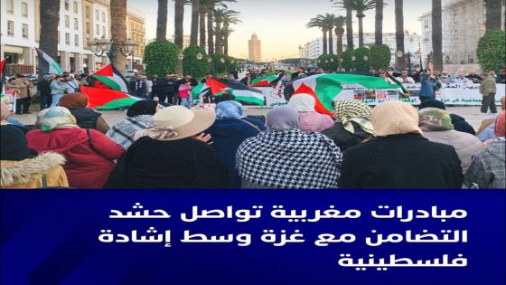 انطلقت منذ يوم الأربعاء الماضي سلسلة من الوقفات والمبادرات الشعبية في عدد من المدن المغربية،