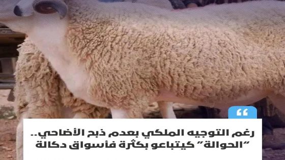 في الوقت الذي دعا فيه التوجيه الملكي السامي إلى الامتناع عن ذبح الأضاحي خلال عيد الأضحى لهذه السنة،