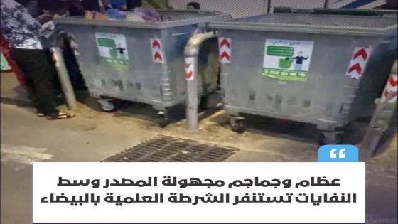 استنفرت مصالح الأمن بمدينة الدار البيضاء، مساء اليوم، مختلف وحداتها بعد العثور على عظام وجماجم مجهولة المصدر وسط كميات من النفايات بمطرح عشوائي في محيط شارع محمد السادس،