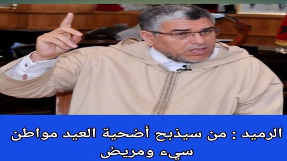 وجّه مصطفى الرميد، الوزير السابق للعدل، نداءً لاحترام التوجيه الملكي القاضي بعدم ذبح الأضاحي في عيد الأضحى لهذا العام،