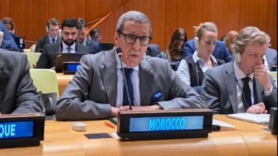 السفير هلال يجلد الكبرانات : الجزائر تعاني فصام سياسي مزمن لا شفاء منه في قضية الصحراء