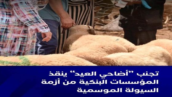 قال باحثان مغربيان في الاقتصاد والنظم المالية إن “تعليق النحر خلال صبيحة الأضحى أو التقليل من العملية إلى الحدّ الأدنى