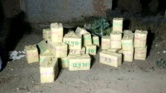 ضبط سيارة محملة بـ 39 رزمة من مخدر الشيرا بأرقام مزورة في إقليم الصويرة