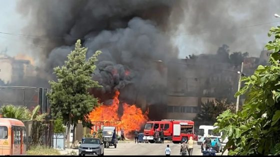 أتى على 12 محلا.. توقيف مشتبه فيه بإضرام النار في محلات لبيع القصب بطنجة