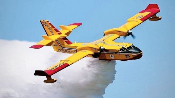 السيطرة على حريق غابوي بجماعة عين لحصن بعد تدخل مكثف للسلطات