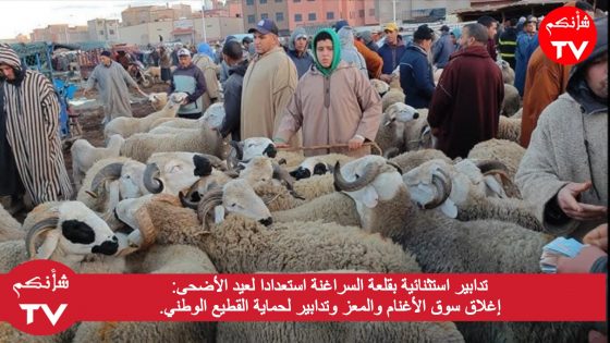 تدابير استثنائية بقلعة السراغنة استعدادًا لعيد الأضحى: إغلاق سوق الأغنام والمعز وتدابير لحماية القطيع الوطني