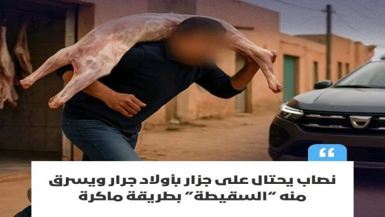 شهدت منطقة أولاد جرار التابعة لإقليم تيزنيت، نهاية هذا الأسبوع، حادثة نصب طريفة وغريبة، كان ضحيتها جزار محلي سُرقت منه “سقيطة” خروف بطريقة لا تخلو من الحيلة