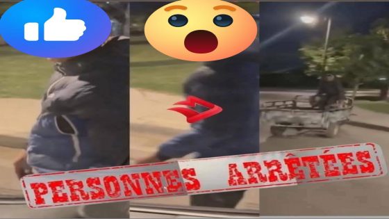 توقيف المتورط الرئيسي في اعتداءات “تريبورتور” على حافلات العمال يعيد الطمأنينة إلى شوارع طنجة