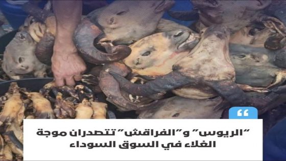 ارتفاع أسعار مخلفات الأضاحي في المغرب يثقل كاهل الأسر ذات الدخل المحدود