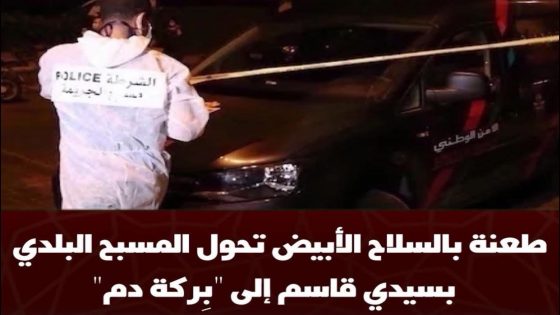 شهد المسبح البلدي لمدينة سيدي قاسم، زوال يومه الثلاثاء، شجاراً عنيفاً بين شابين ينحدران من حيّ الزاوية وحيّ صحراوة ما تطور إلى اعتداء بالسلاح الأبيض،