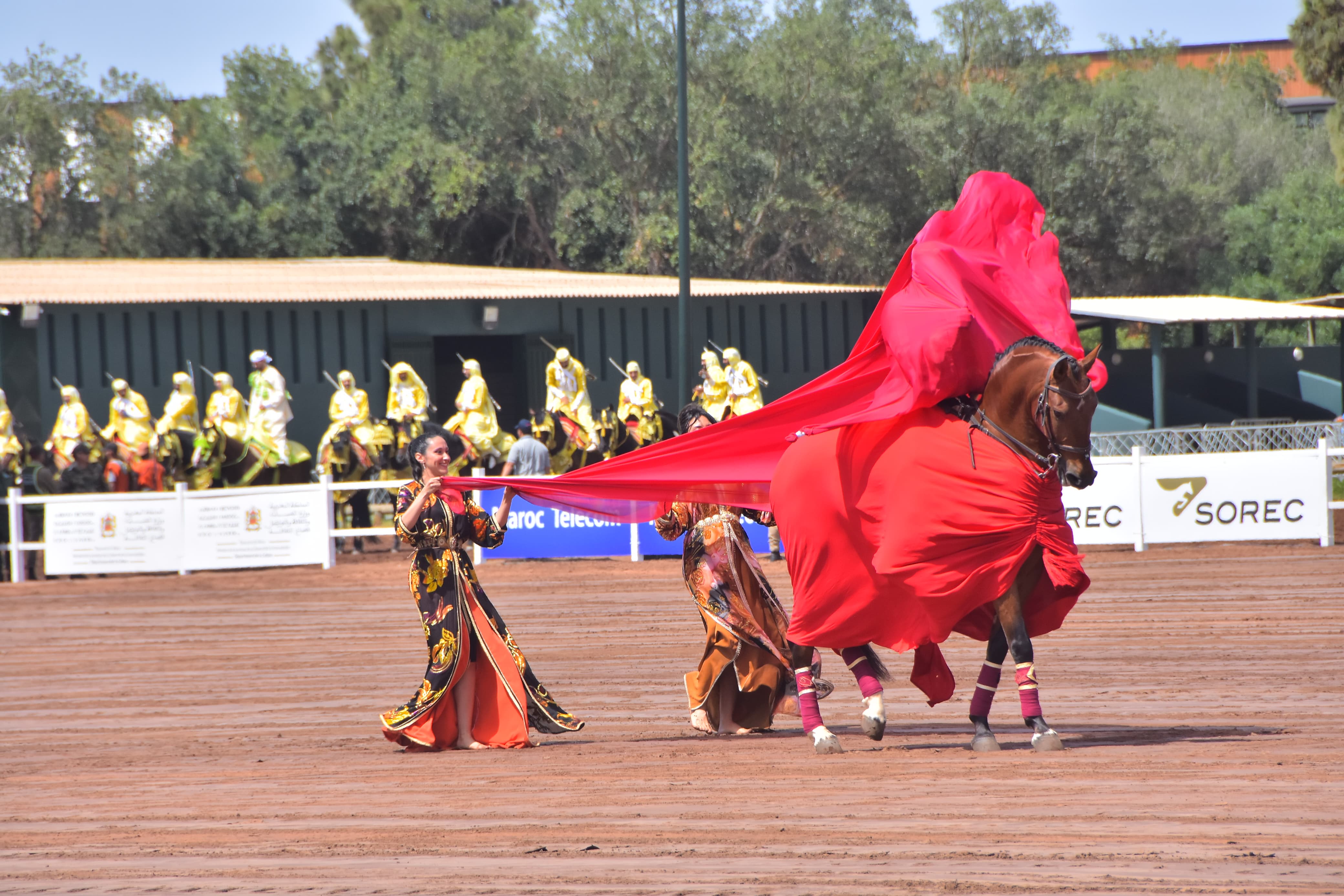 IMG 20250909 WA0035 - شأنكم Tv