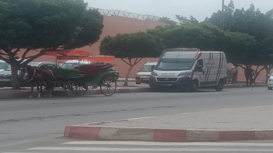 حادثة سير بشارع الجيش الملكي بقلعة السراغنة بسبب عربة مجرورة