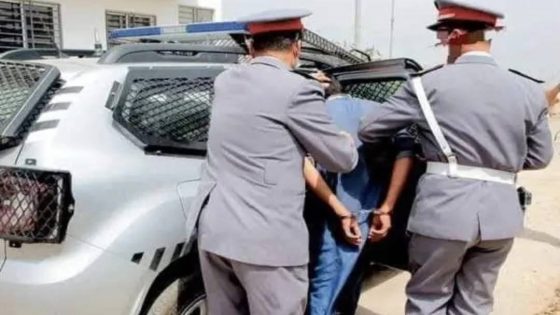 في إطار المجهودات الأمنية المتواصلة التي يقوم بها عناصر الدرك الملكي بسرية الرشيدية لمحاربة الجريمة بشتى أنواعها في منطقة نفوذها ، تمكنت عناصر الدرك الملكي بسرية الرشيدية مساء اليوم السبت 13 شتنبر 2025 من توقيف تاجر مخدرات ينشط بغابات جماعة شرفاء مدغرة