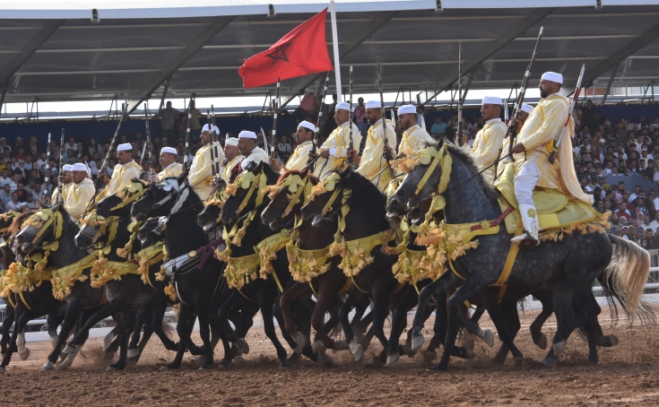 IMG 20251007 WA0002 - شأنكم Tv