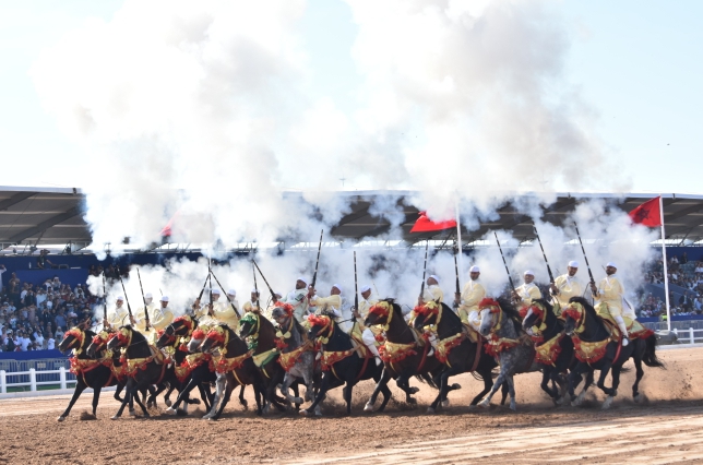 IMG 20251007 WA0006 - شأنكم Tv