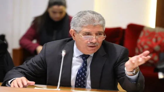 جدل داخل “الأصالة والمعاصرة” بعد تصريحات التويزي.. قيادات تُوجّه له توبيخًا رسميًا