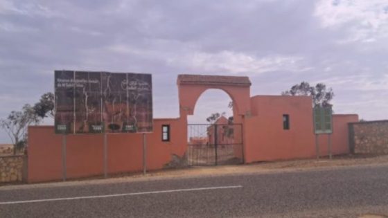اليوسفية:اعتقال مسؤول بمحمية الغزلان بجماعة سيدي شيكر وإدانته بثلاث سنوات حبسا نافذا بتهمة الارتباط بصفحة معادية للمغرب